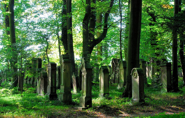 Jdischer Friedhof am Eichelberg