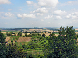 Blick von der Ravensburg gen Burg Steinsberg bei Sinsheim. Kraichgau - das Land der 1000 Hgel. Klicken Sie.