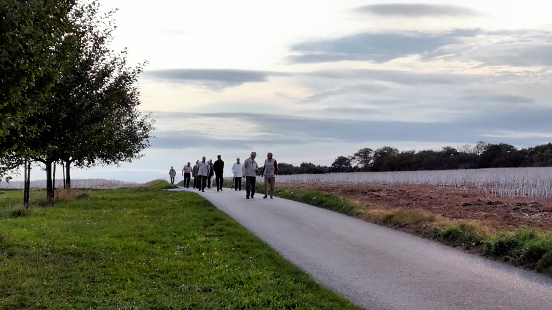 Auf dem Weg zum Rohrbacherhof. Klicken Sie fr ein greres Foto.x90p-310h