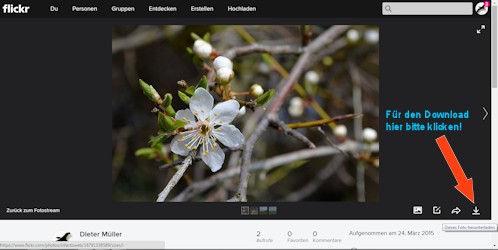 Flickr-Seite zum Download von Fotos