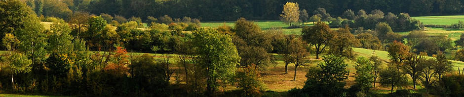 am-eichelberg-dietermueller