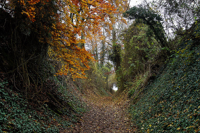 Hohweg Kreuzhole Nhe Rohrbacherhof